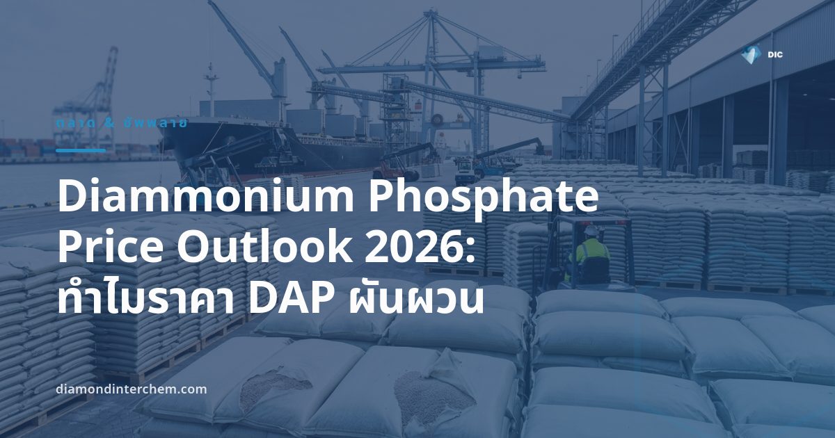 ภาพประกอบ Diammonium Phosphate price outlook 2026 แสดงกระสอบปุ๋ย DAP และกราฟแนวโน้มราคา