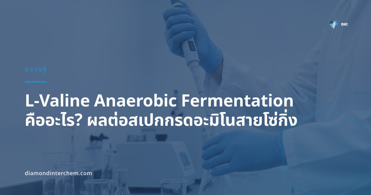 ภาพประกอบกระบวนการ L-Valine Anaerobic Fermentation ในห้องปฏิบัติการเทคโนโลยีชีวภาพ