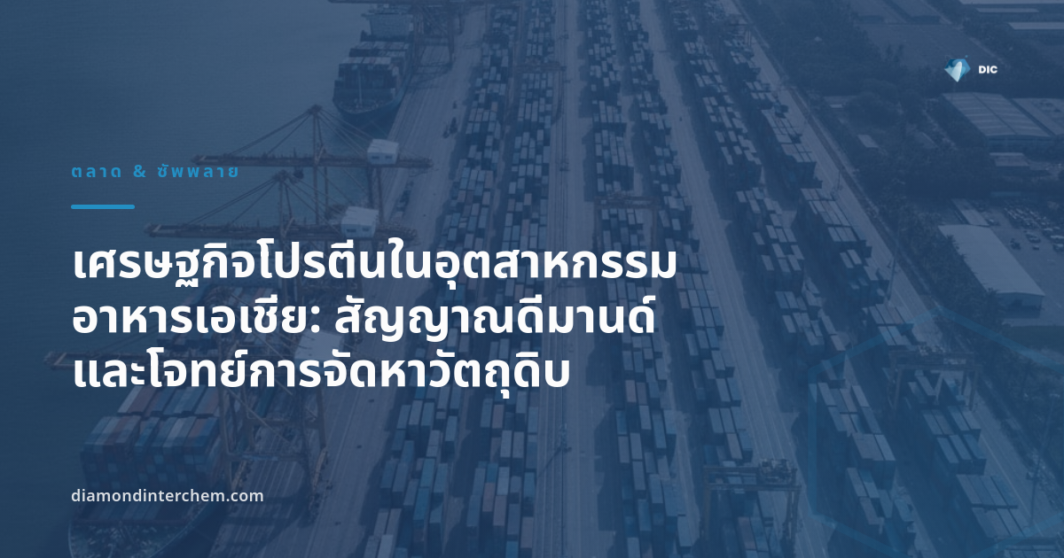 การจัดหาวัตถุดิบโปรตีน — ผงโปรตีนบรรจุถุงในคลังกระจายสินค้า