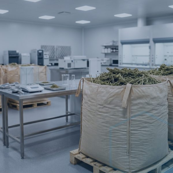 เข้าใจ hemp THC container limit สหรัฐฯ ก่อนกฎเข้มบังคับใช้
